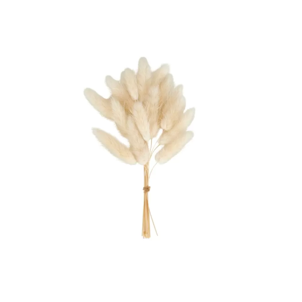 CASA ADDO Vaso Crema- Vasi