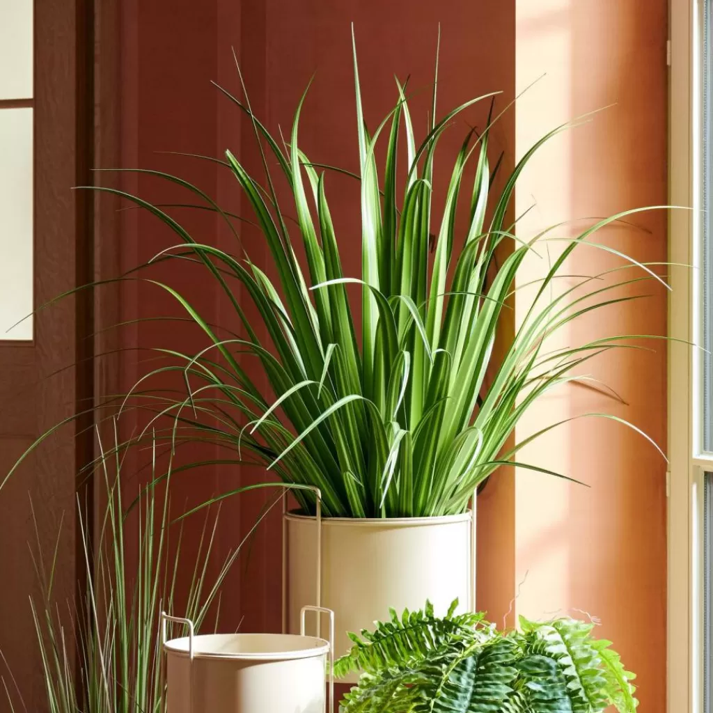 CASA ALLIUM Erba Decorativa Verde- Piante Artificiali