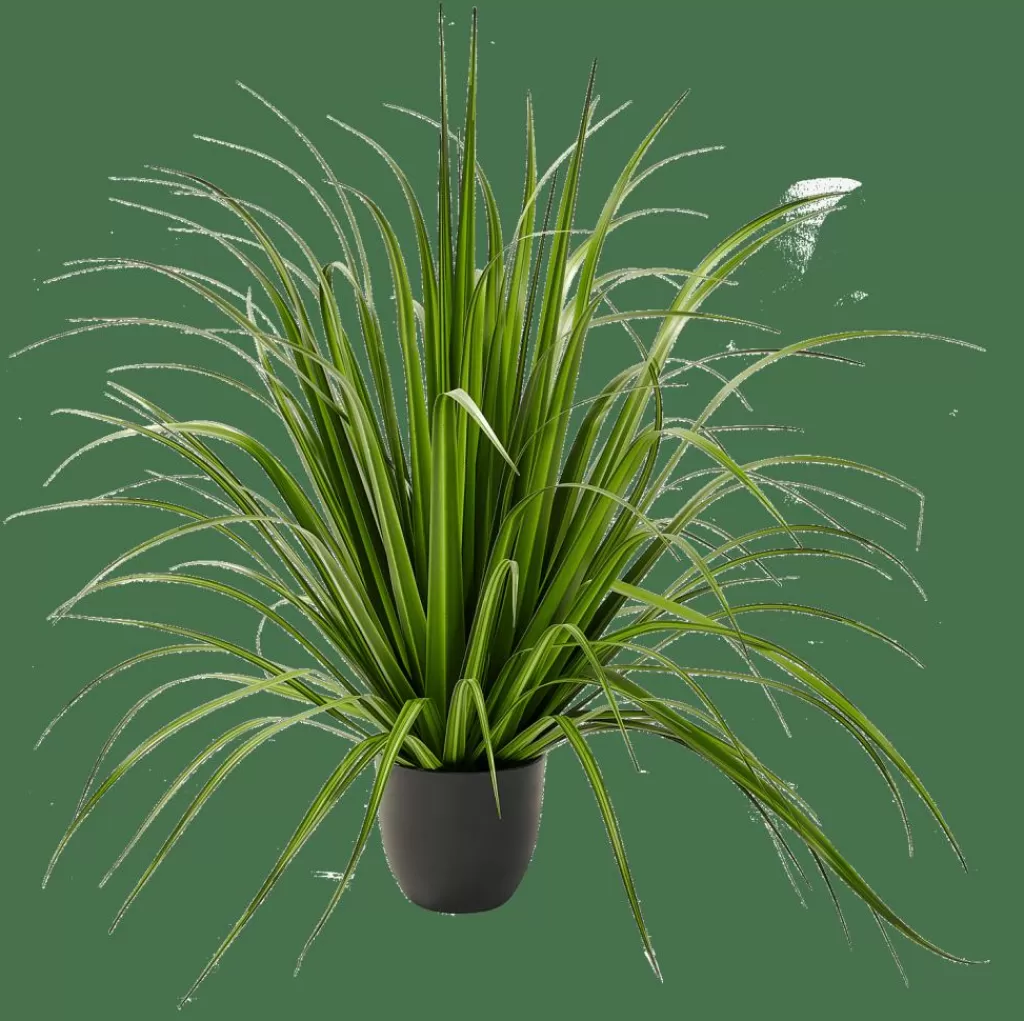 CASA ALLIUM Erba Decorativa Verde- Piante Artificiali