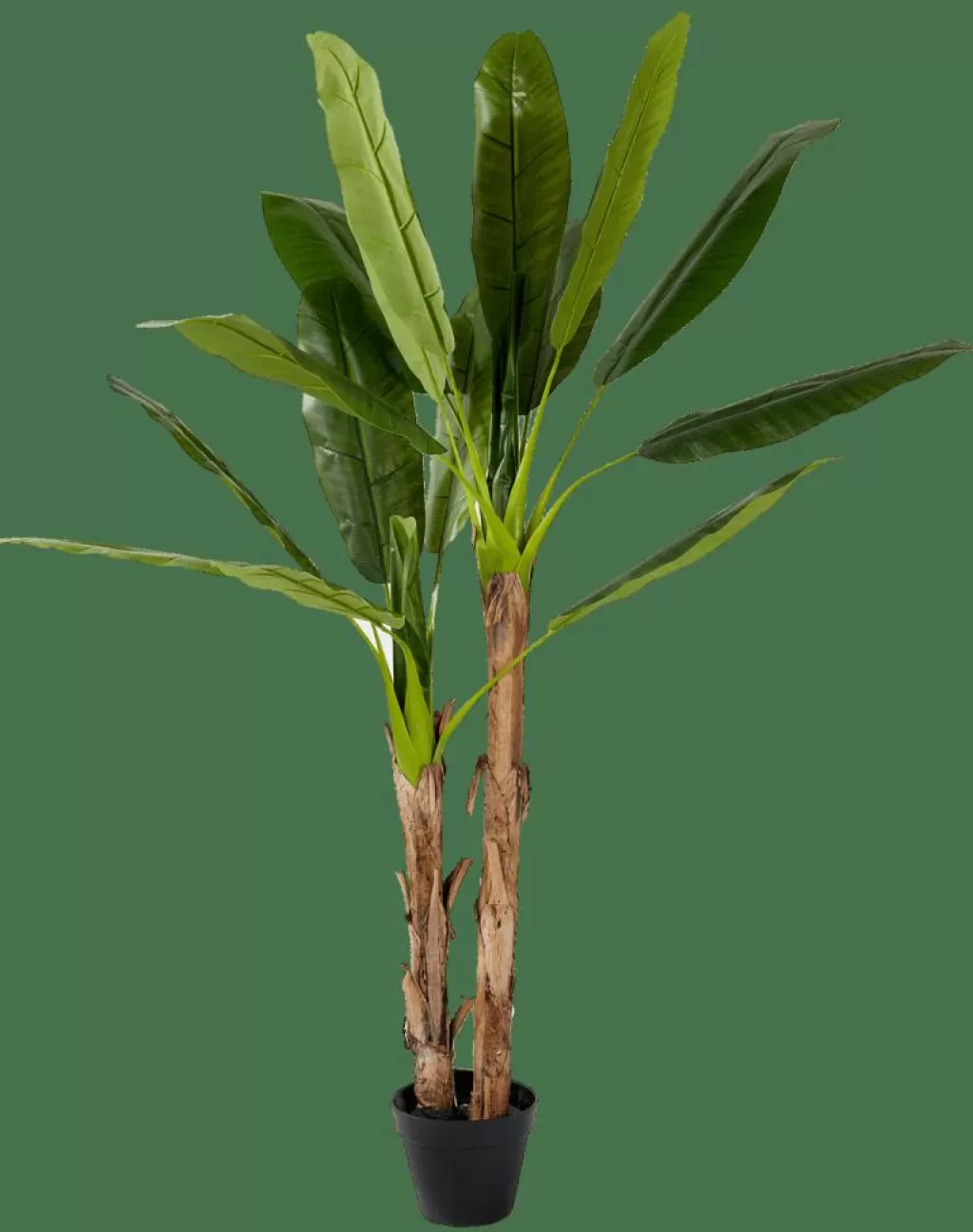 CASA BANANA Banano Verde- Piante Artificiali