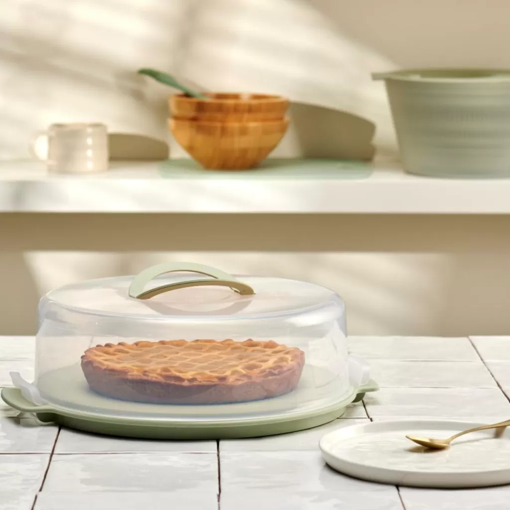 CASA BIOLINE Portatorta Menta- Scatole Conserva Vivande | Strumenti Da Cucina