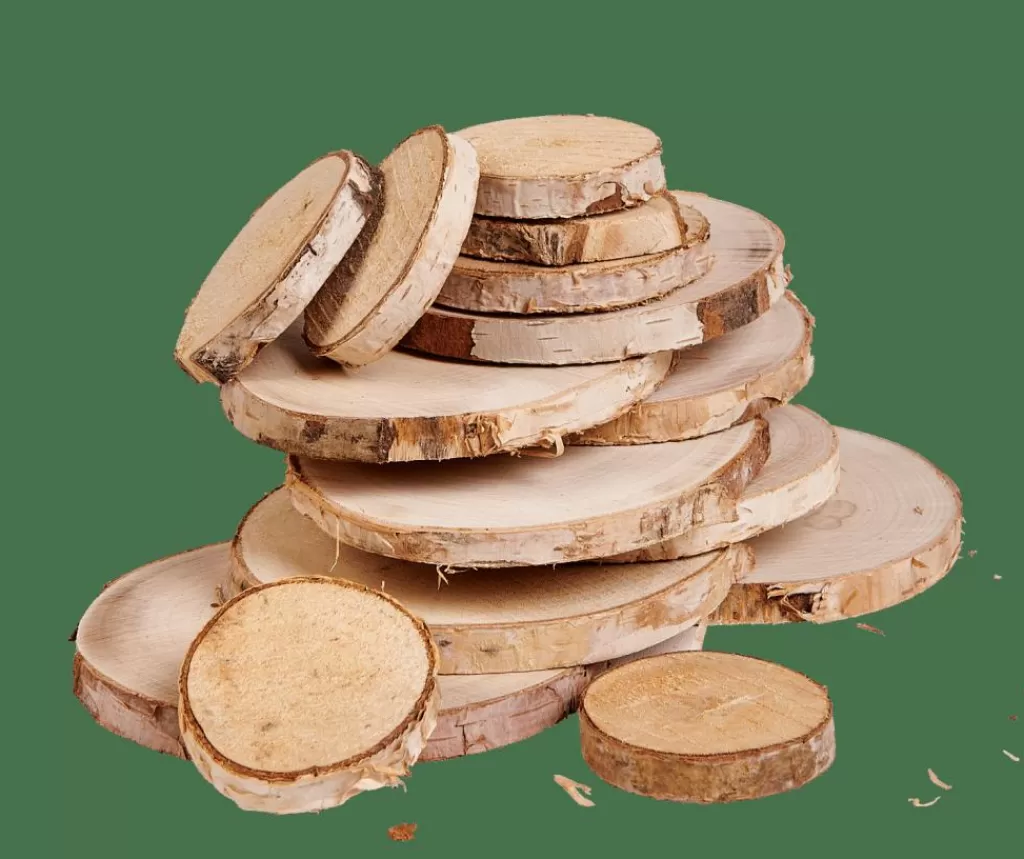 CASA BIRCH Deco Legno Betulla 15 Pezzi Naturale- Autunno