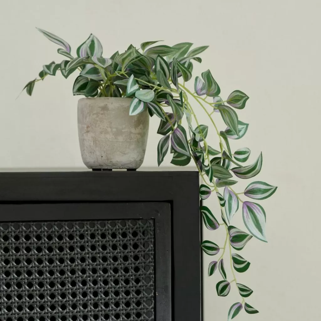 CASA CALATHEA Pianta Sospesa Grigio, Verde, Viola- Piante Artificiali