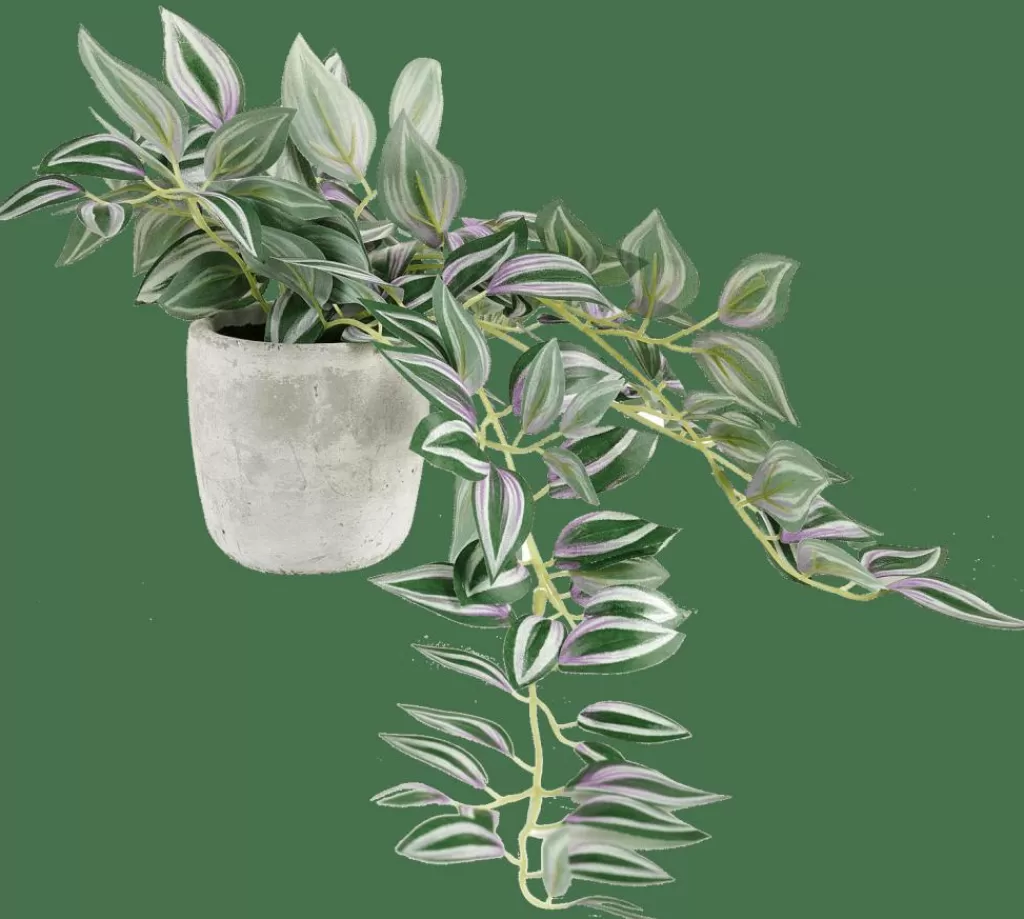 CASA CALATHEA Pianta Sospesa Grigio, Verde, Viola- Piante Artificiali