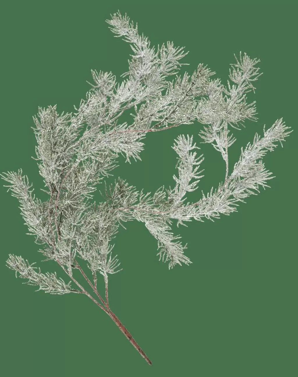CASA CEDER Ramo Decorativo Verde- Rami Artificiali