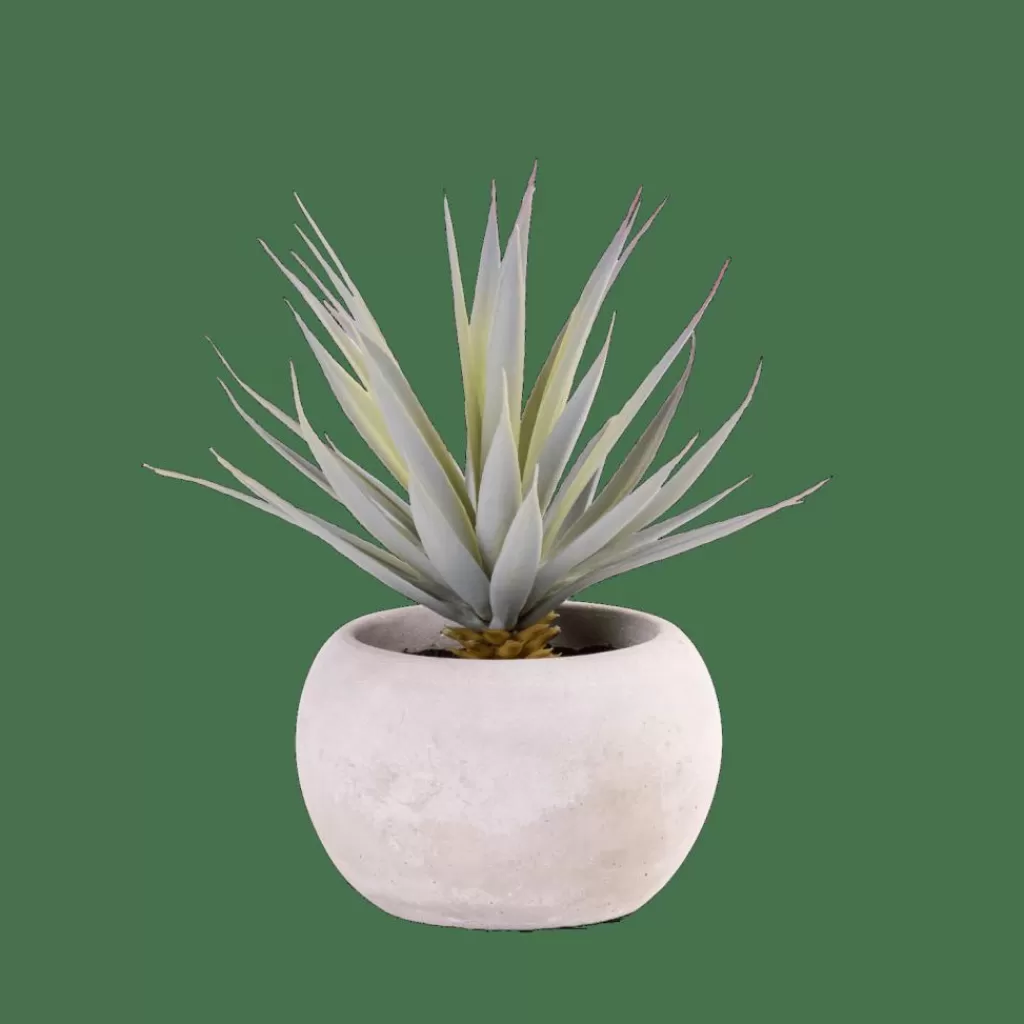CASA CEMENT Succulente Finto In Vaso Grigio- Piante Artificiali