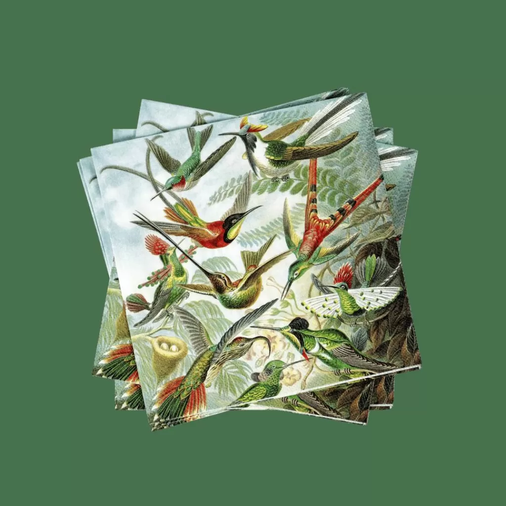 CASA COLIBRI Set Di 20 Tovaglioli Multicolore- Tovaglioli