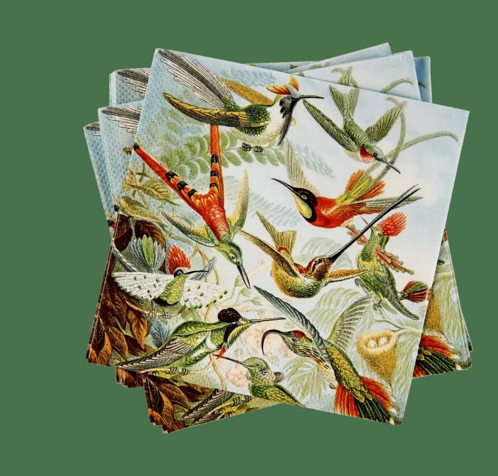CASA COLIBRI Set Di 20 Tovaglioli Multicolore- Tovaglioli