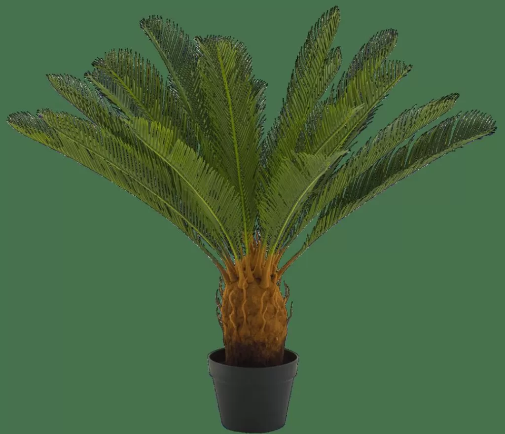 CASA CYCAS Palma Verde- Piante Artificiali