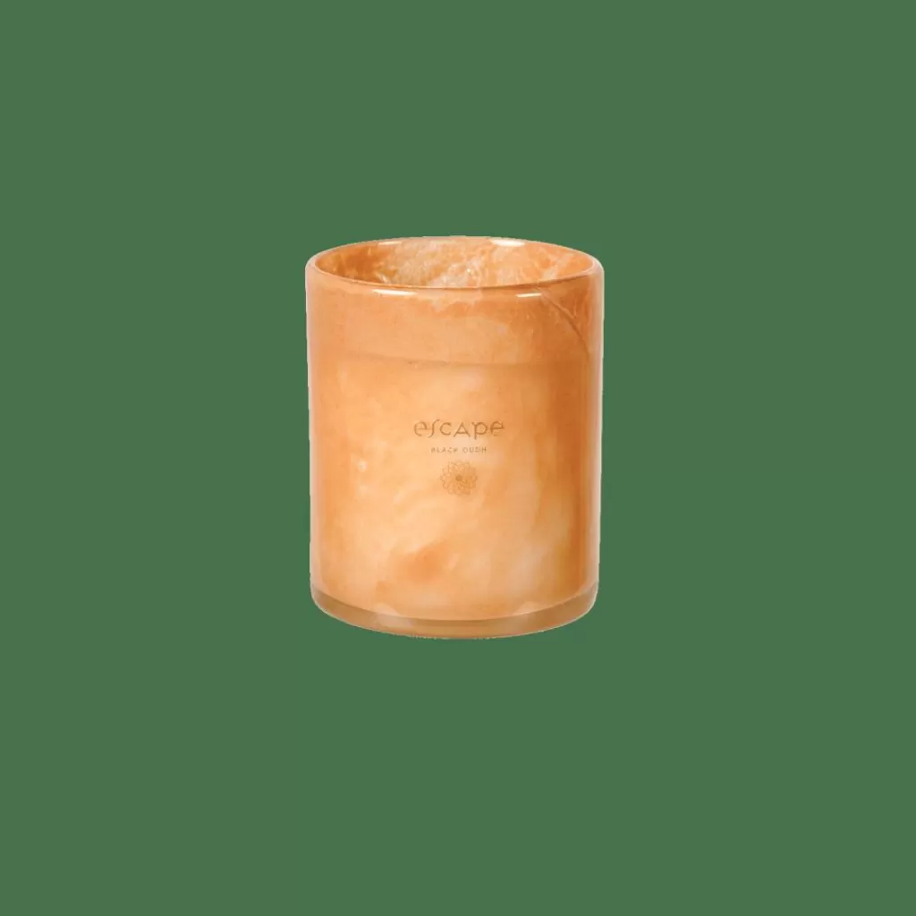 CASA ESCAPE BLACK OUDH Candela Profumata In Vaso Bianco, Rosa Antico- Candele Profumate | Candele