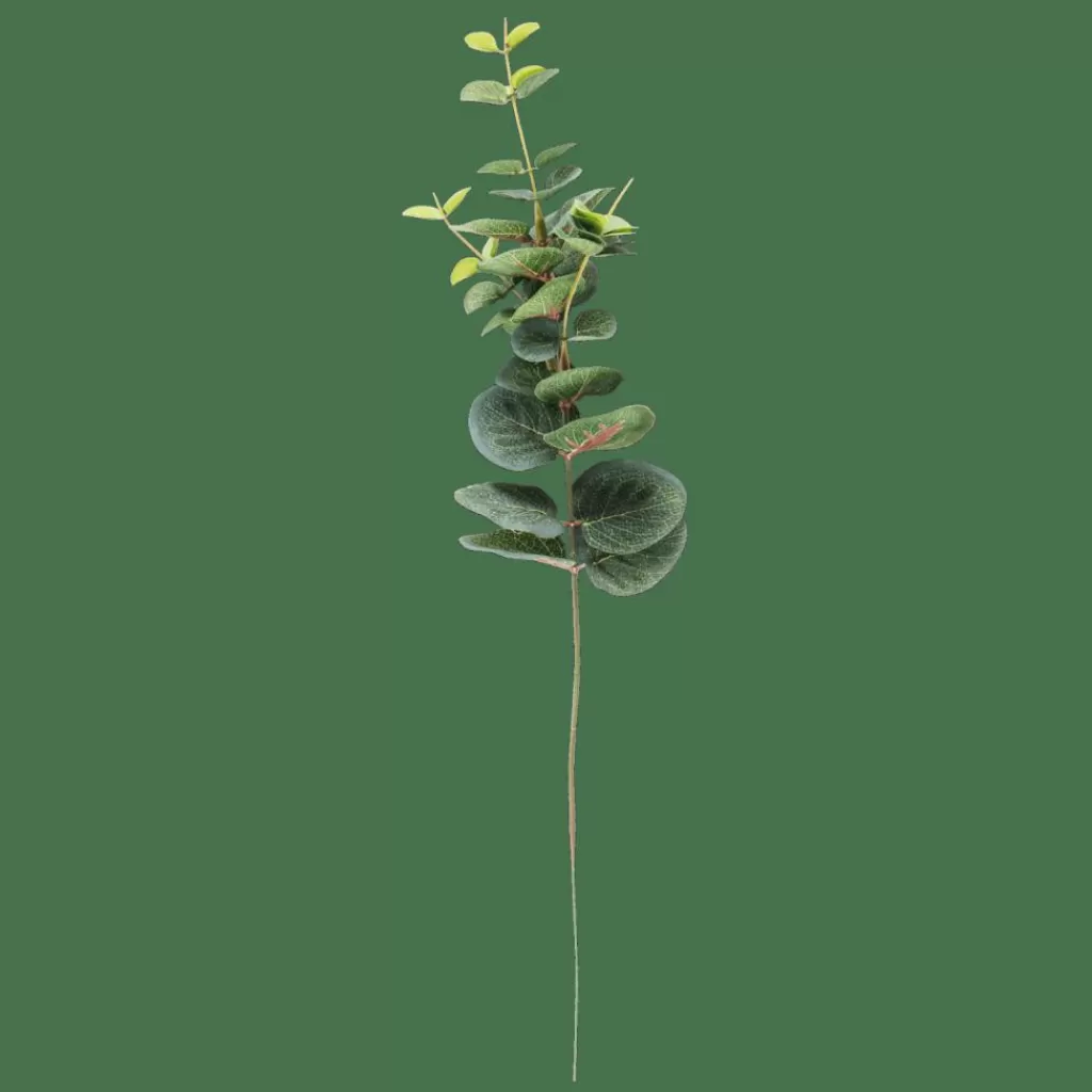 CASA EUCALYPTUS Ramo Artificiale Verde- Rami Artificiali