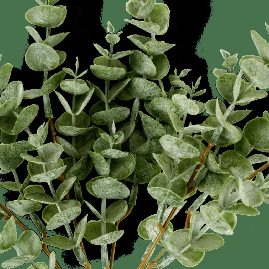 CASA EUCALYPTUS Ramo D'eucalipto Verde- Fiori Artificiali