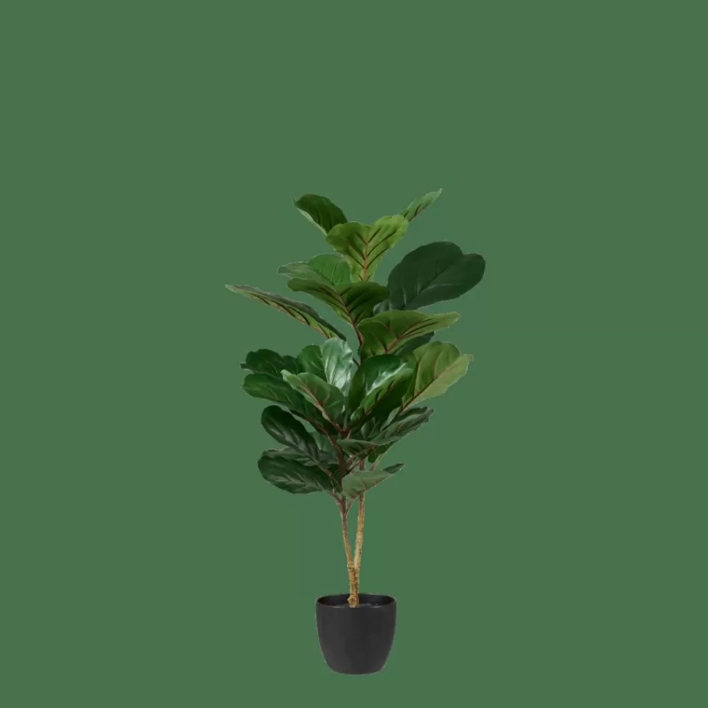 CASA FIGI Nero, Verde Scuro- Piante Artificiali
