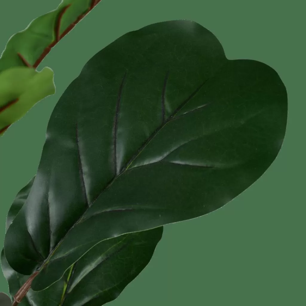 CASA FIGI Nero, Verde Scuro- Piante Artificiali