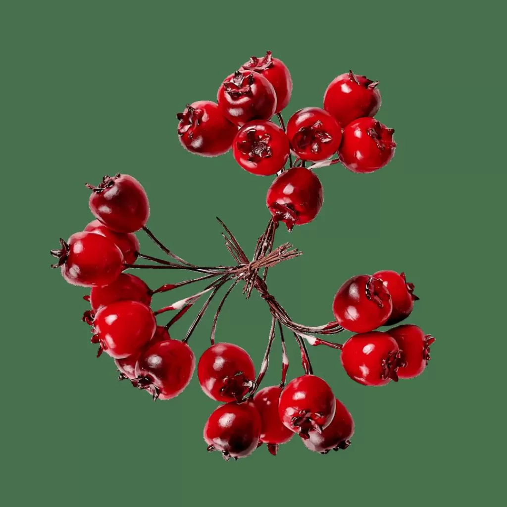 CASA FOAM Decorazione Cinorrodo Rosso- Rami Artificiali