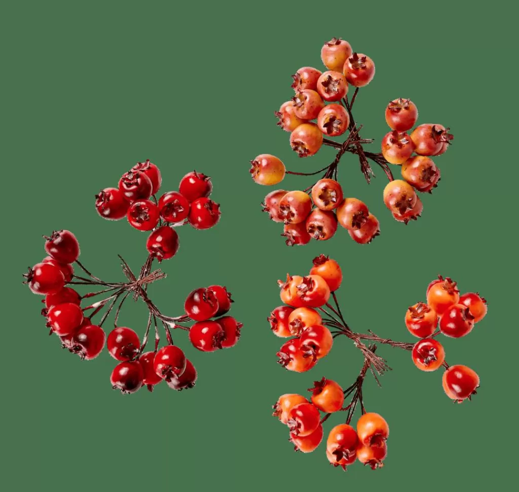 CASA FOAM Decorazione Cinorrodo Rosso- Rami Artificiali