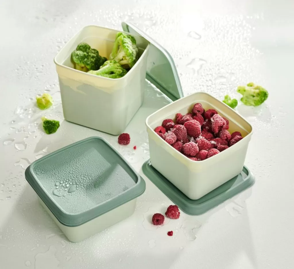CASA FREEZER Scatole X Freezer Set Di 10 Menta, Verde Scuro- Scatole Conserva Vivande