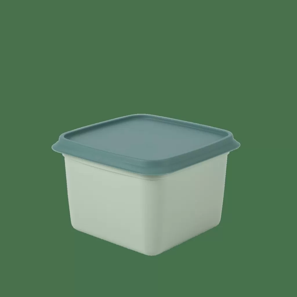 CASA FREEZER Scatole X Freezer Set Di 10 Menta, Verde Scuro- Scatole Conserva Vivande