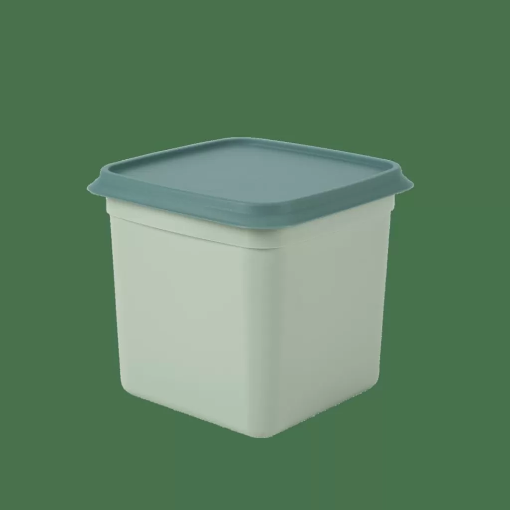 CASA FREEZER Scatole X Freezer Set Di 10 Menta, Verde Scuro- Scatole Conserva Vivande