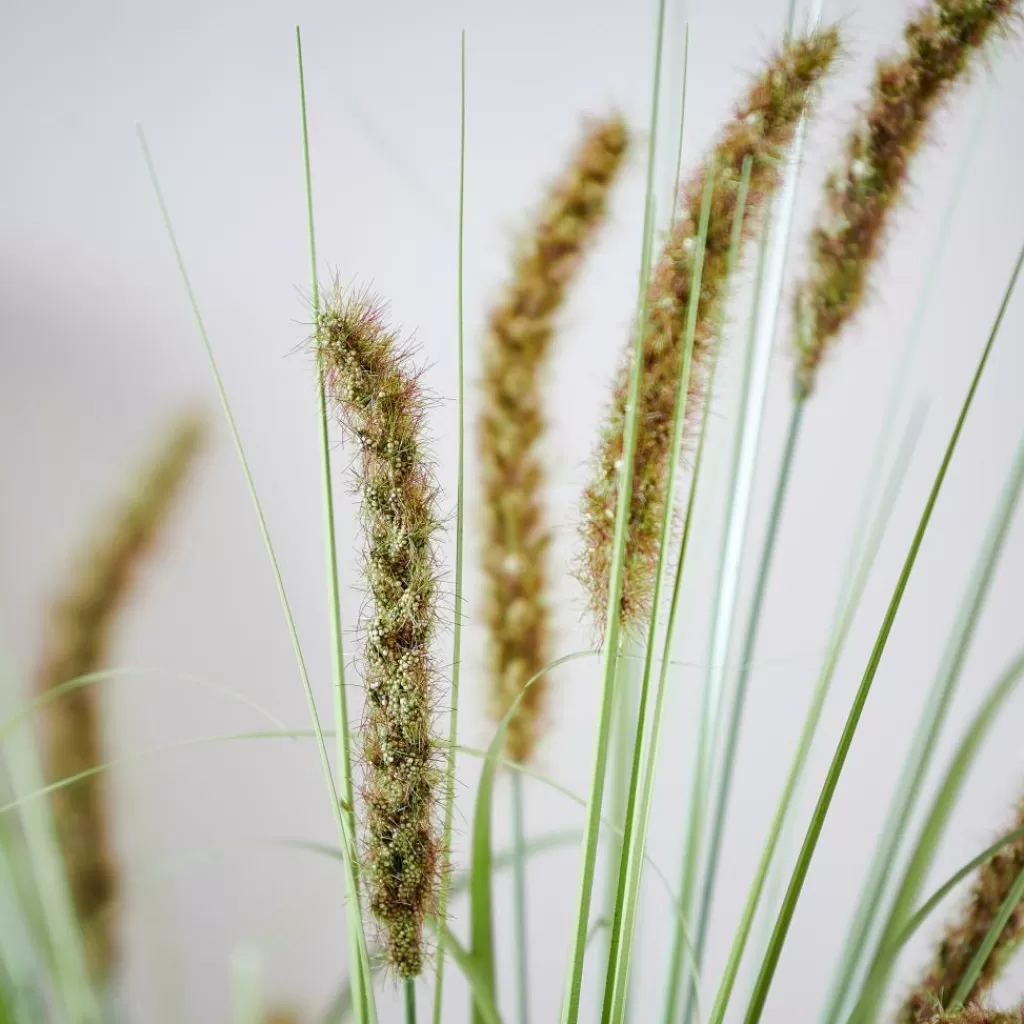 CASA GRASS Mazzo Di Erba Verde- Rami Artificiali