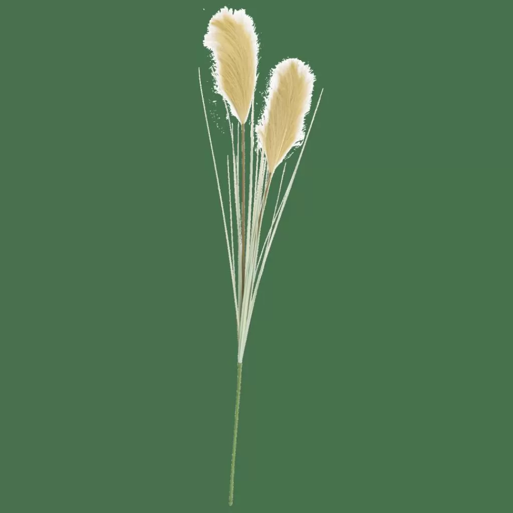 CASA GRASS Pennacchio Di Canna Verde- Rami Artificiali