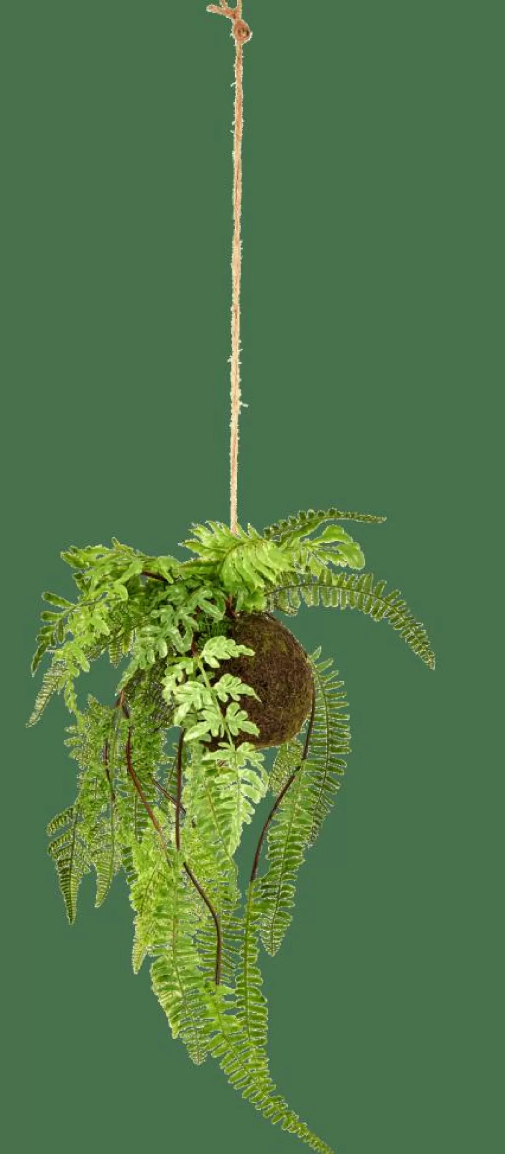 CASA GREENERY Vaso Sospeso Con Felce Verde- Piante Artificiali