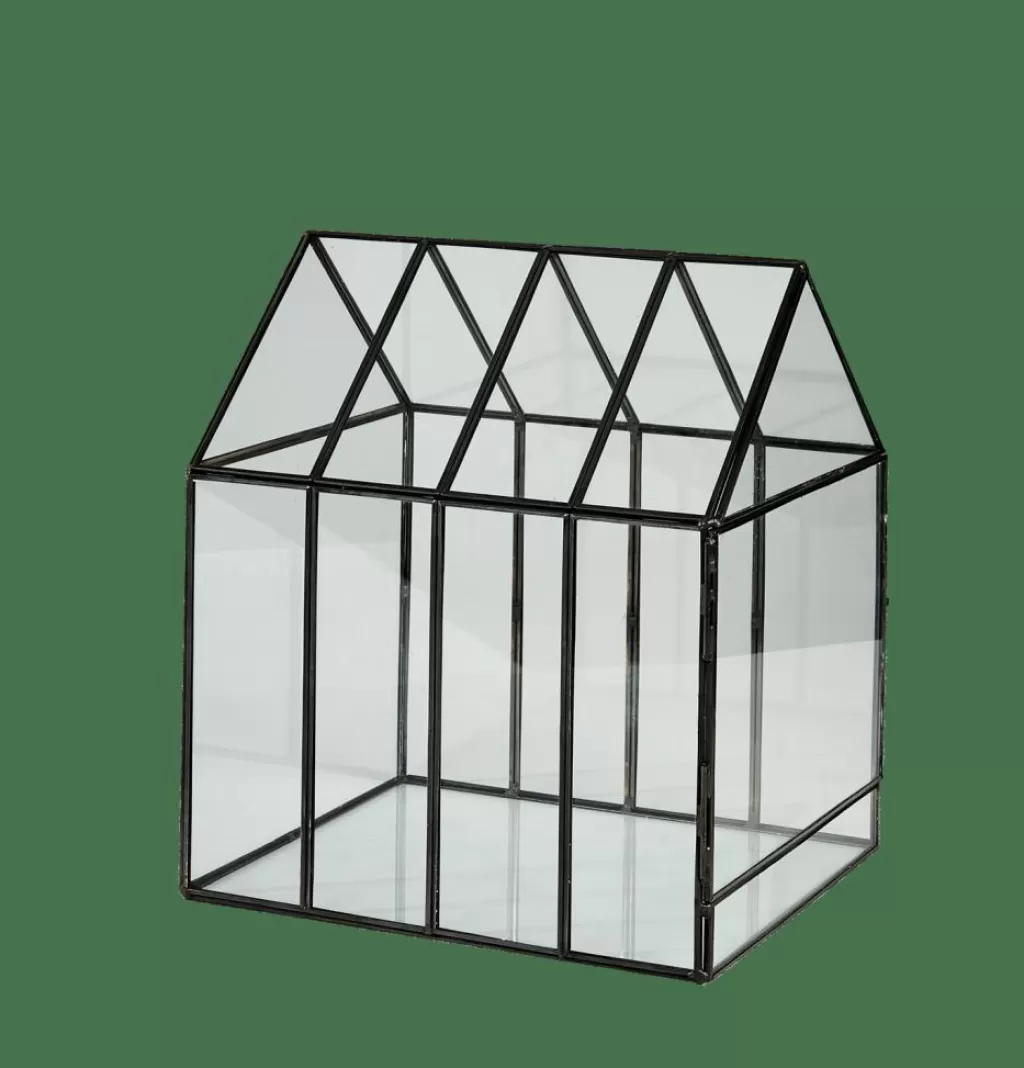CASA GREENHOUSE Serra Minuscola Trasparente- Supporti Per Piante