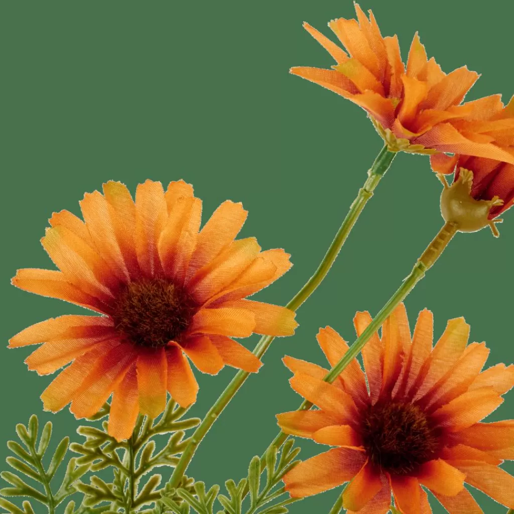 CASA INDI Arancione- Fiori Artificiali | Autunno