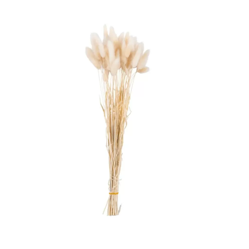 CASA LAGURUS Piumino Beige- Fiori Artificiali