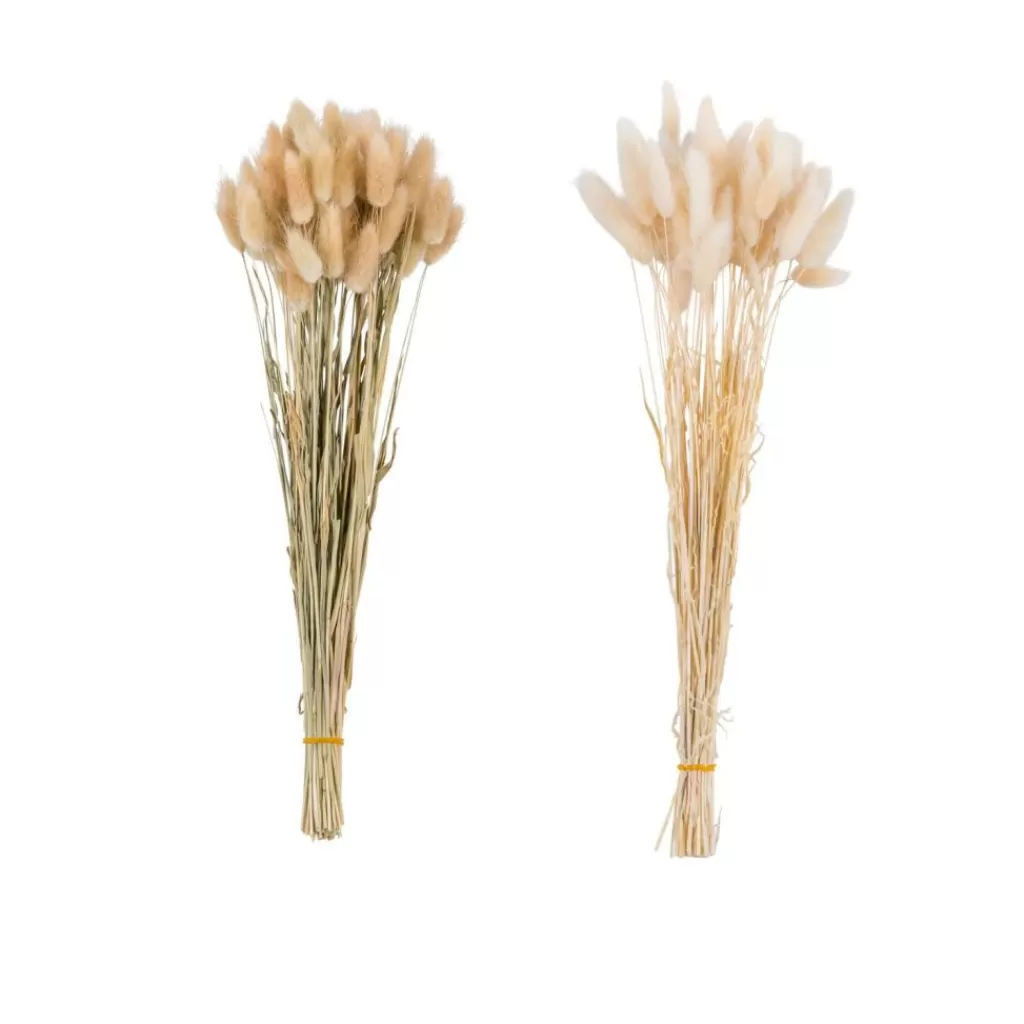CASA LAGURUS Piumino Beige- Fiori Artificiali