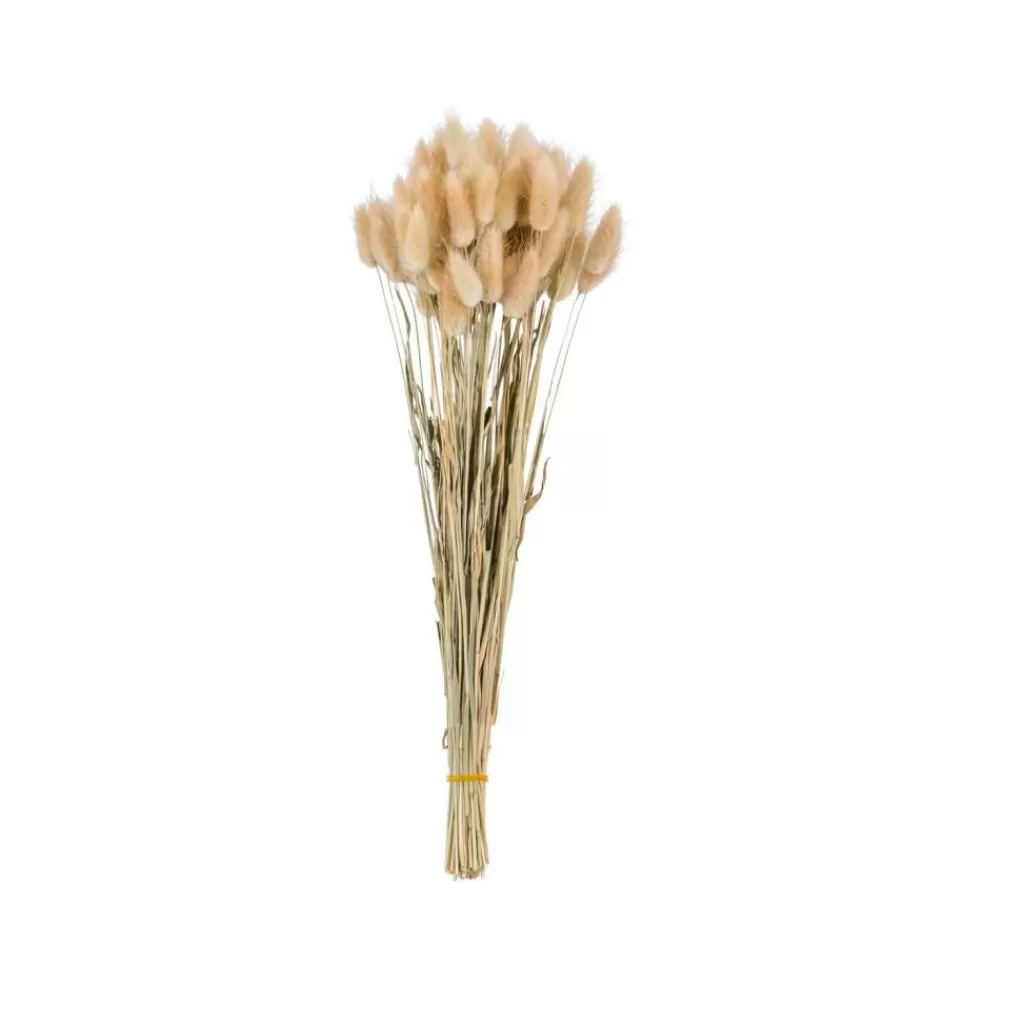 CASA LAGURUS Piumino Marrone- Fiori Artificiali
