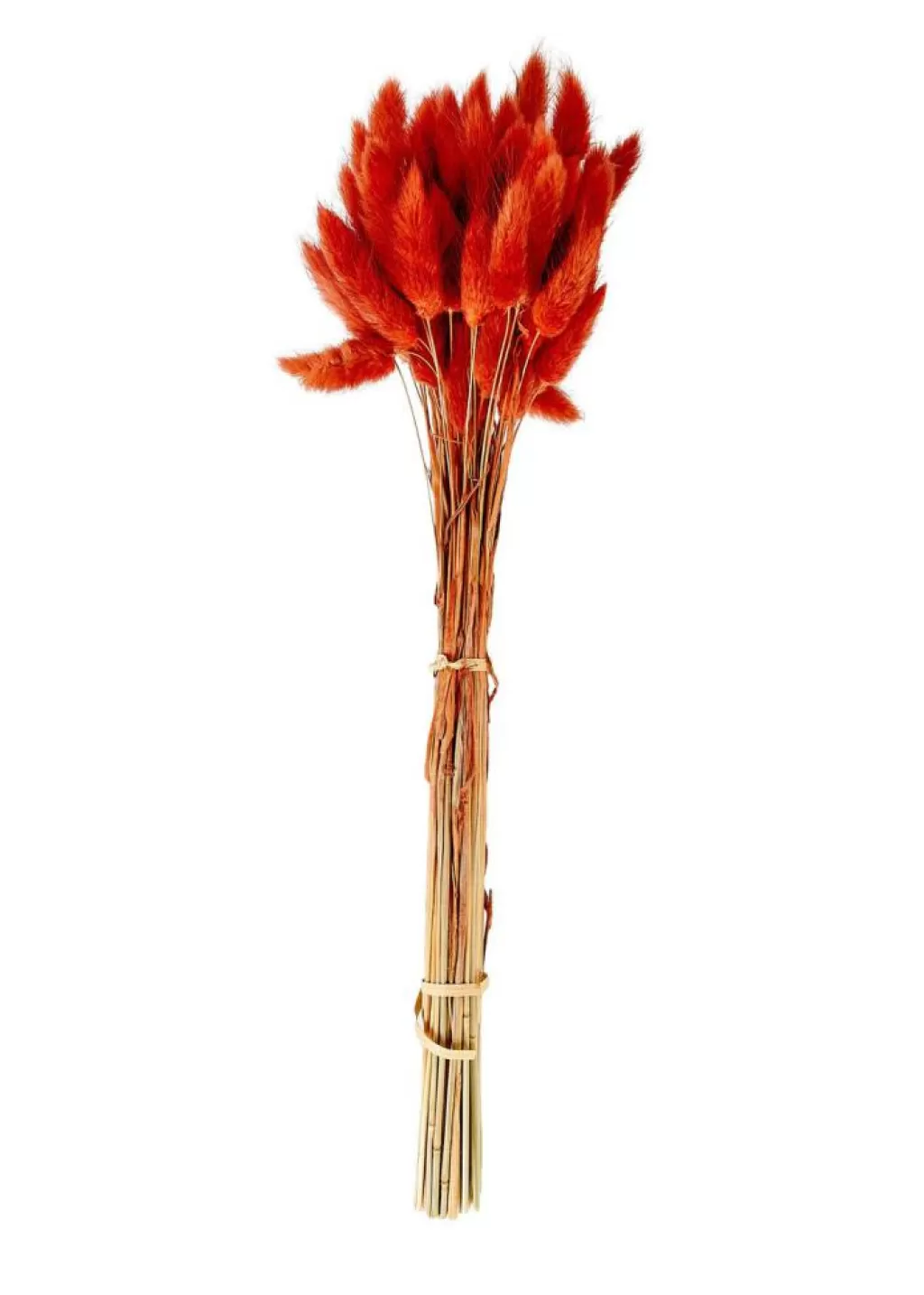 CASA LAGURUS Piumino Rosso- Fiori Artificiali