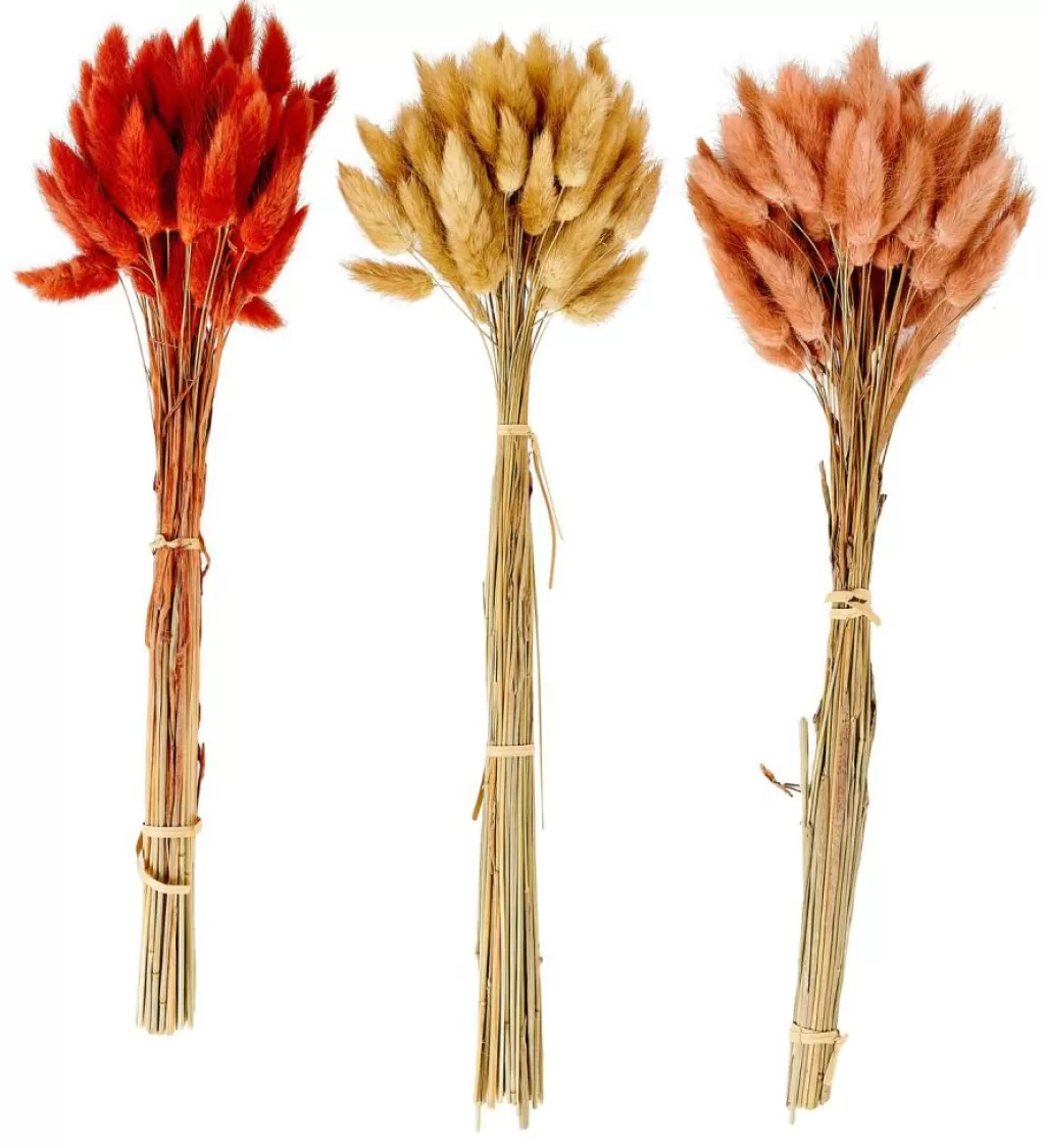 CASA LAGURUS Piumino Rosso- Fiori Artificiali