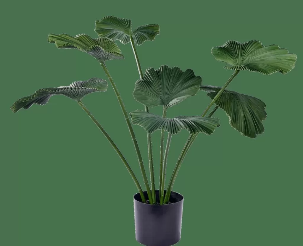 CASA LOTUS Pianta Verde- Piante Artificiali