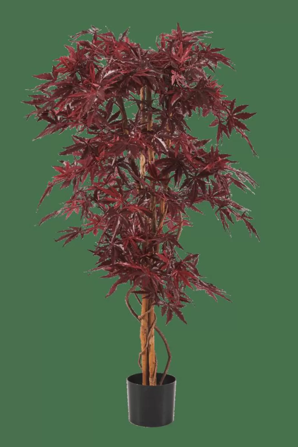 CASA MAPLE Pianta Artificiale Vari Colori- Piante Artificiali