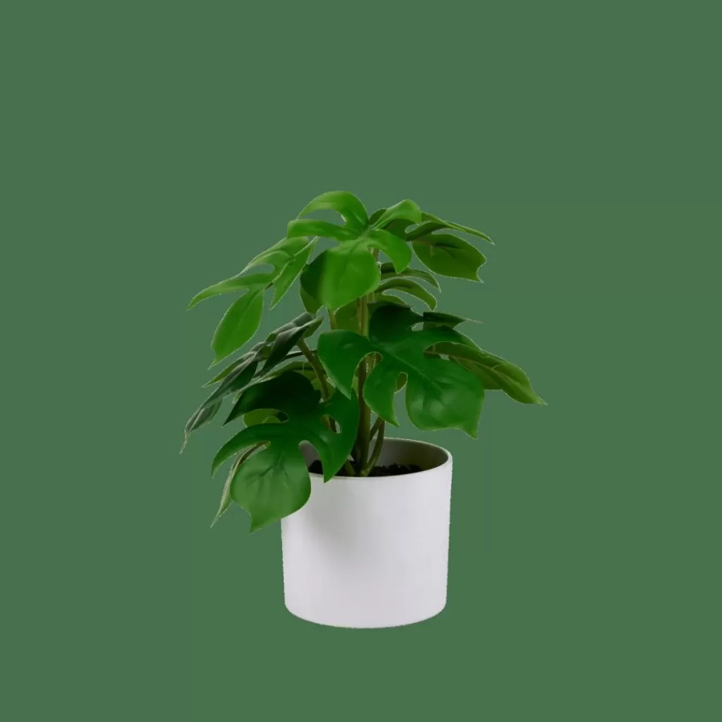 CASA MONSTERA Pianta Vari Colori- Piante Artificiali