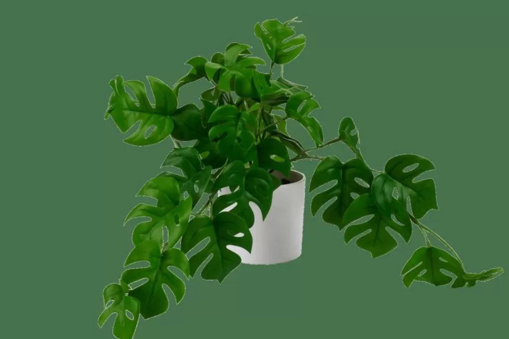 CASA MONSTERA Pianta Vari Colori, Bianco, Verde- Piante Artificiali