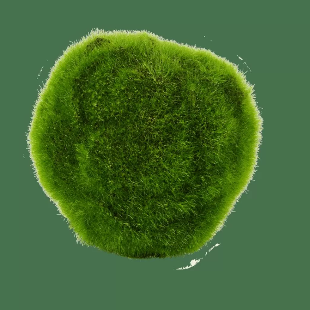 CASA MOSS Sfera Di Muschio Verde- Piante Artificiali