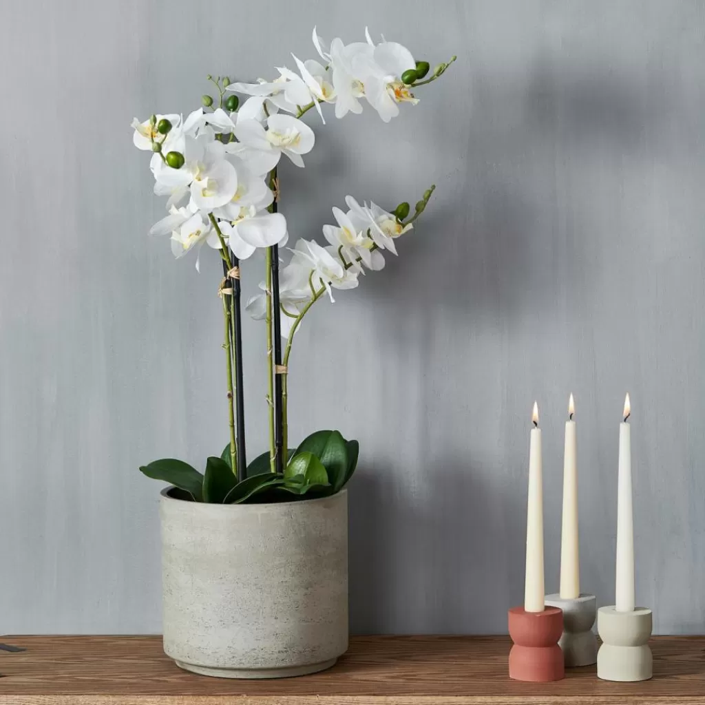 CASA ORCHID Orchidea In Vaso Bianco- Piante Artificiali