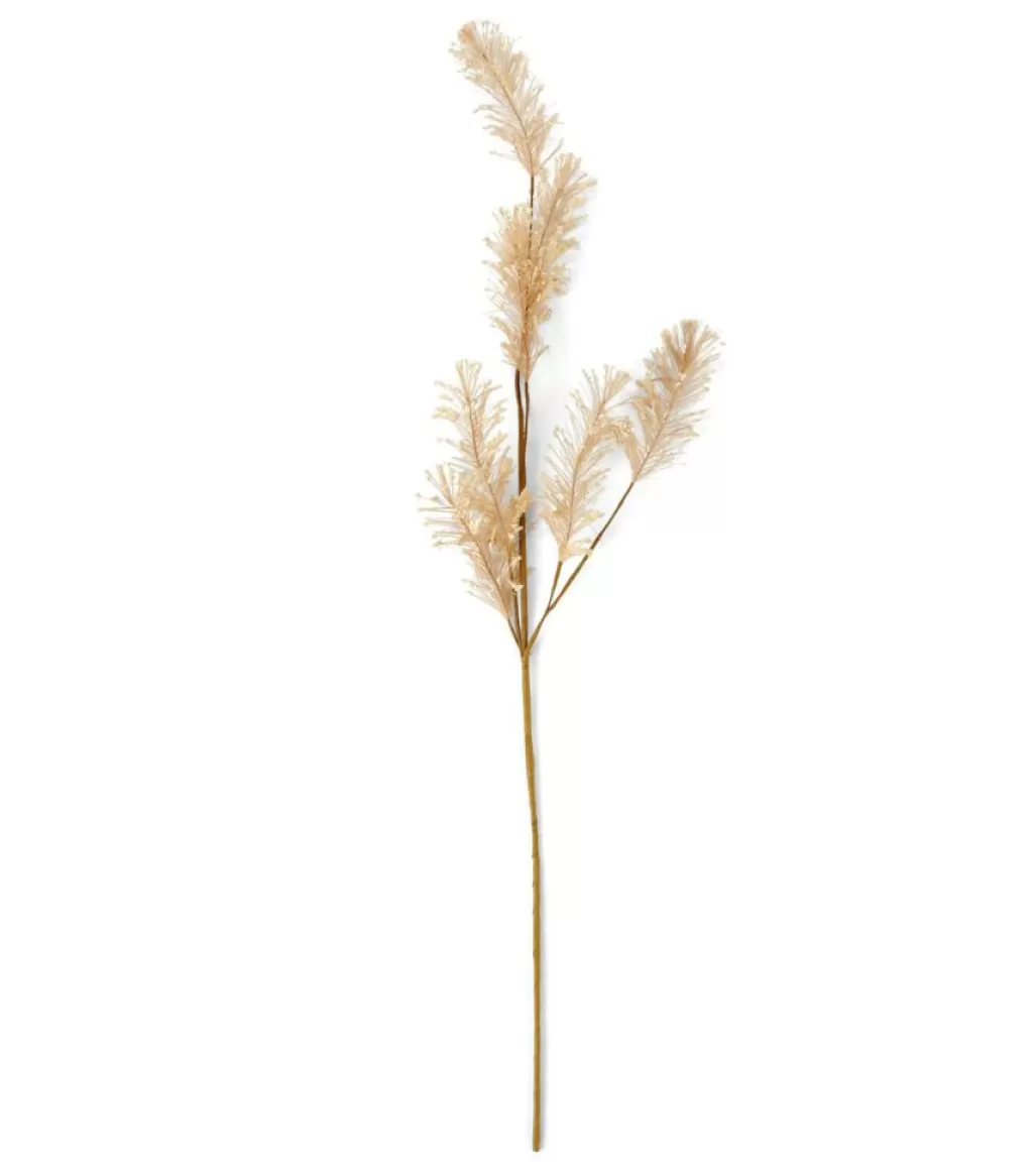 CASA PAMPA Pampas Bianco- Rami Artificiali | Autunno