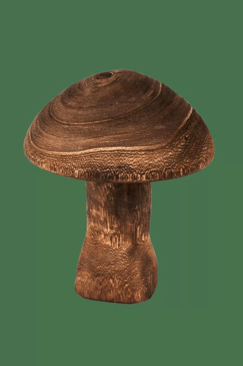 CASA PAULO Fungo Marrone- Kids | Figurine Decorative