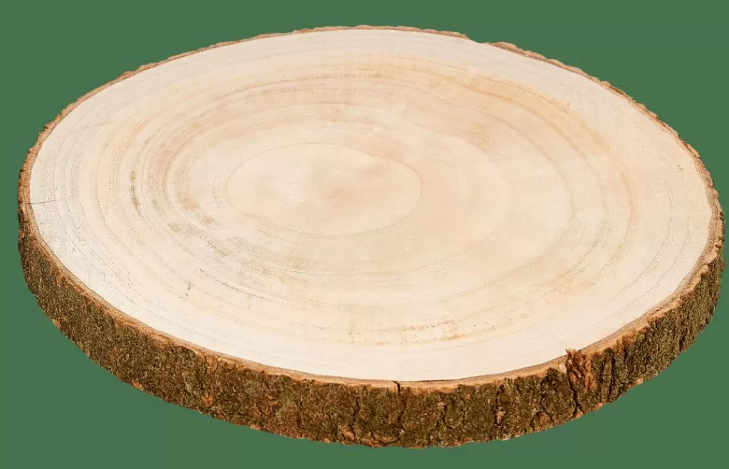 CASA PAULO Piatto Di Legno Marrone- Ciotole Decorativi | Autunno