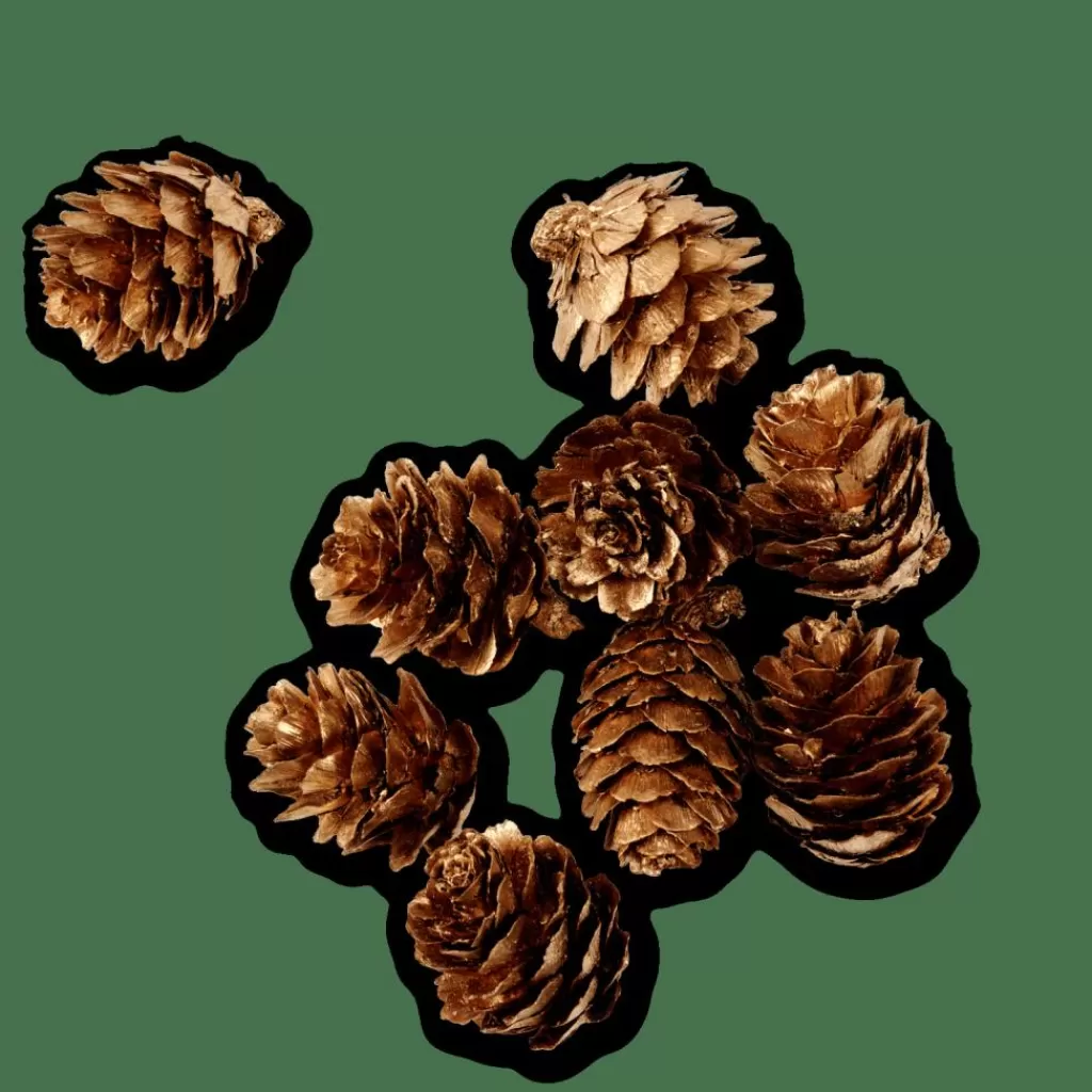 CASA PINECONE Decorazione Sfusa Dorato- Figurine Decorative