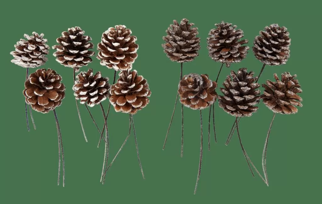 CASA PINECONE Pigne Set Da 6 2 Colori Bianco, Argentato- Autunno