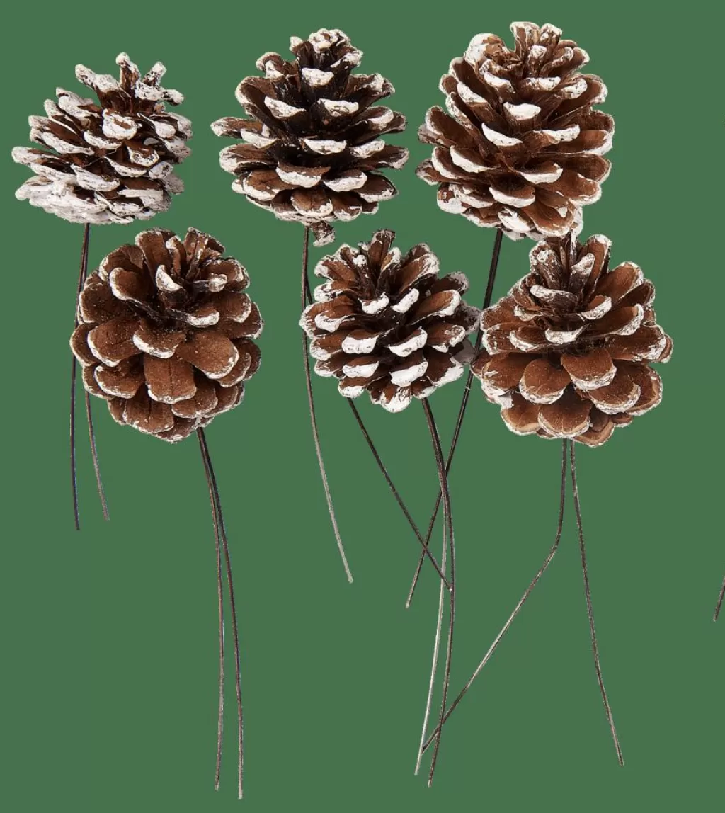 CASA PINECONE Pigne Set Da 6 2 Colori Bianco, Argentato- Autunno