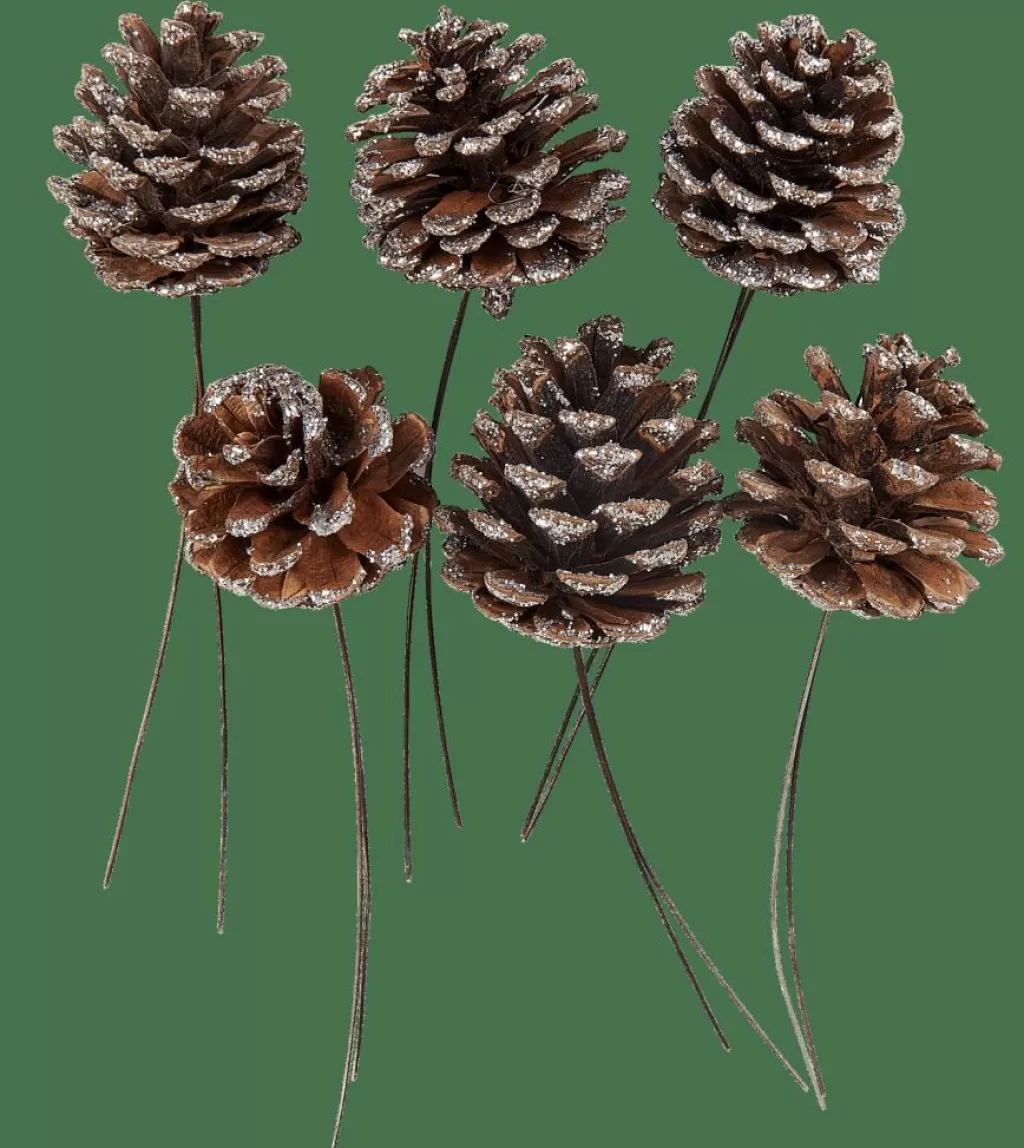 CASA PINECONE Pigne Set Da 6 2 Colori Bianco, Argentato- Autunno