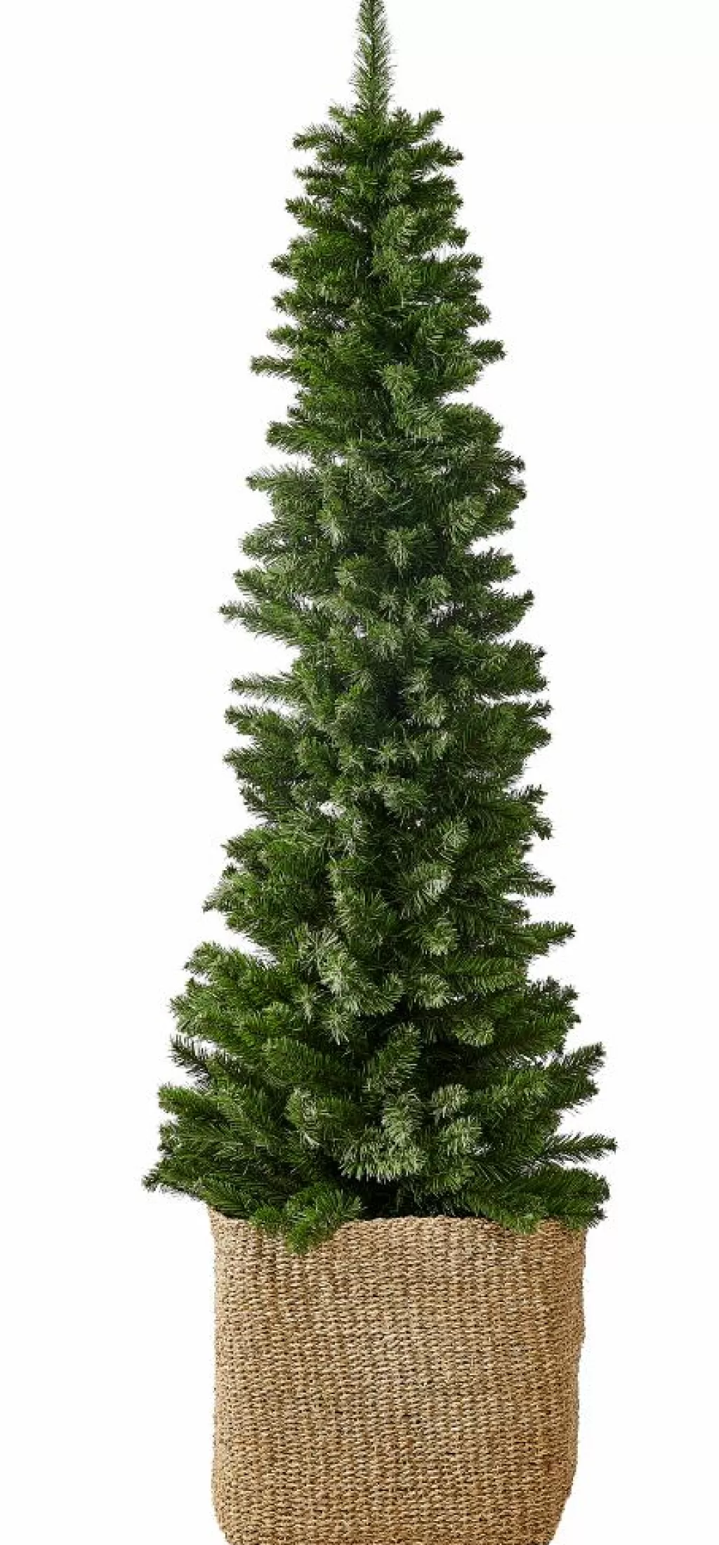 CASA PINUS Ramoscello Natalizio Rosso, Verde- Rami Artificiali