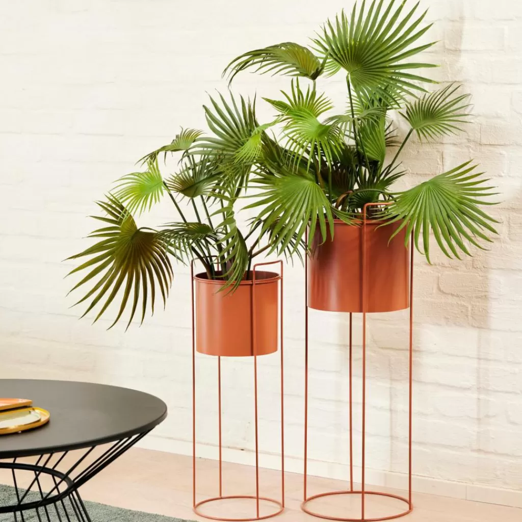 CASA PLUTO Vaso Per Piante Terracotta- Supporti Per Piante