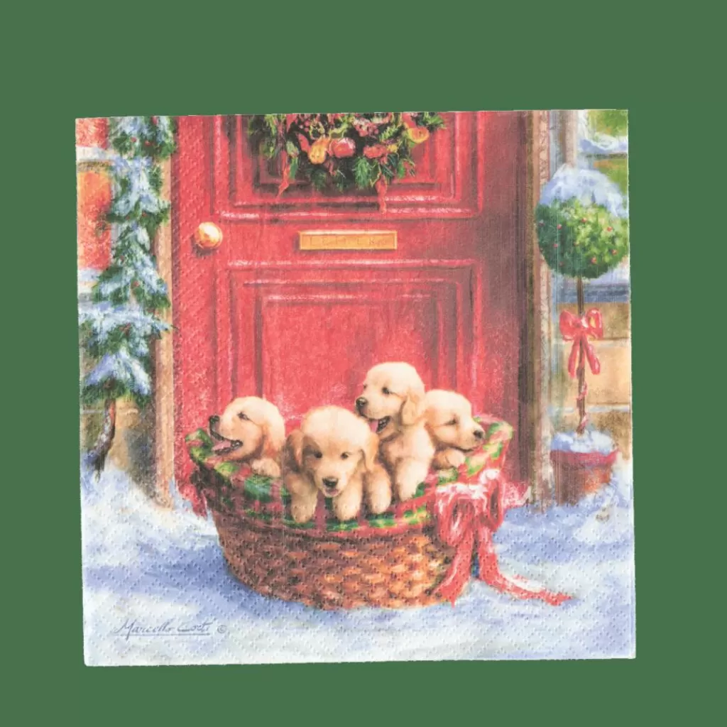 CASA PUPPIES Set Di 20 Tovaglioli Multicolore- Tovaglioli