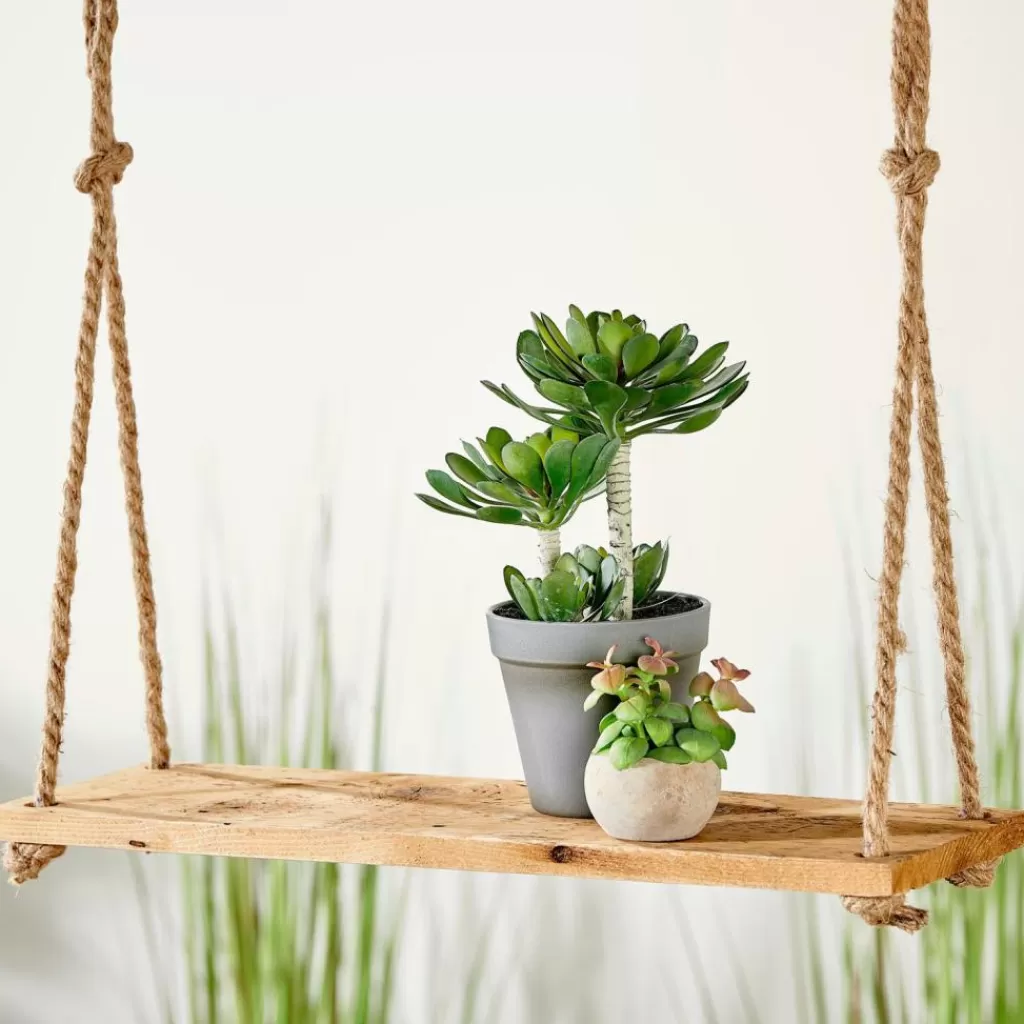 CASA RECYCLE Decorazione Da Appendere Naturale- Portavasi Sospesi